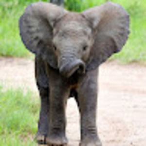 Meet your Posher, Alexandra